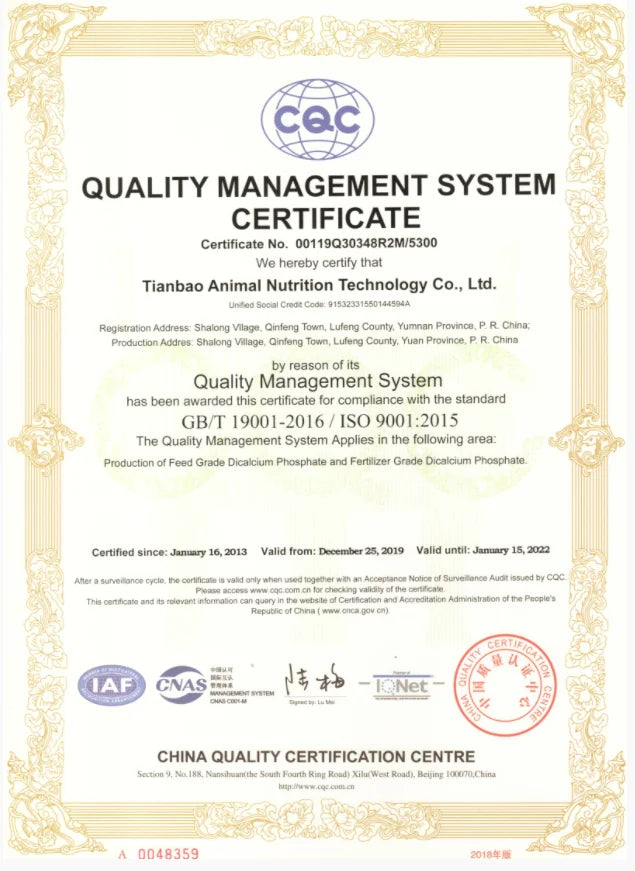 Shamty Hot Ethiopian Bridal Jewelry Sets African Nigeria Sudan Eritrea Kenya Pure Gold Color Habasha Style Wedding Sets D30019