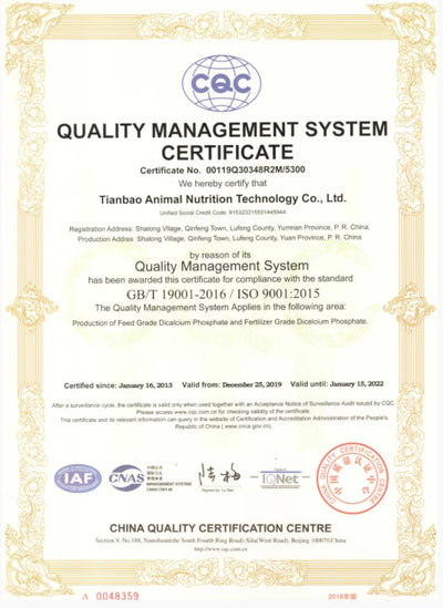 Shamty Hot Ethiopian Bridal Jewelry Sets African Nigeria Sudan Eritrea Kenya Pure Gold Color Habasha Style Wedding Sets D30019